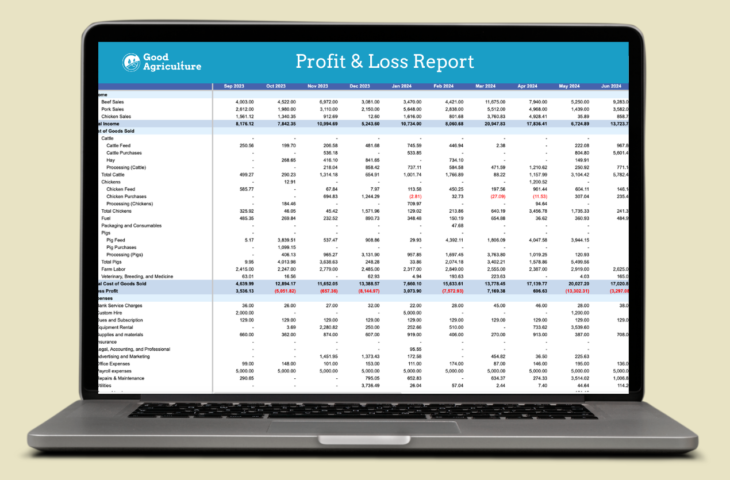 Computer facing out with a profit and loss report