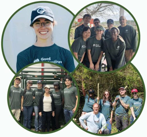 Collage of the Good Agriculture team visiting and volunteering on partner farms, featuring team photos during farm tours, hands-on farm workdays, and community agriculture events supporting local farmers.